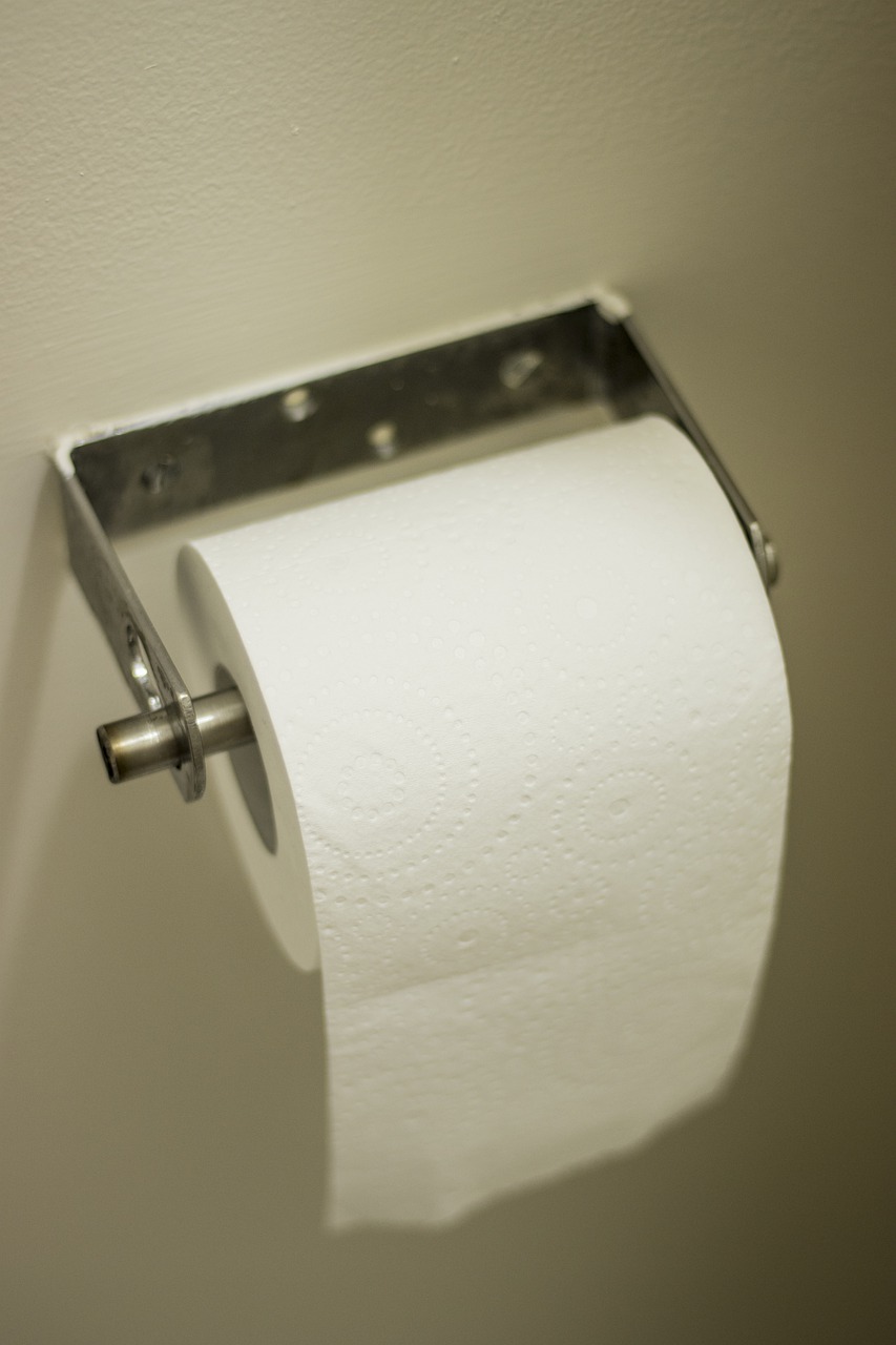portrait of a toilet roll, toilet paper, toilet roll